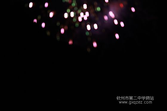 弦歌颂盛世:2010,新年晚会炫耀登场