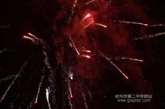 弦歌颂盛世:2010,新年晚会炫耀登场