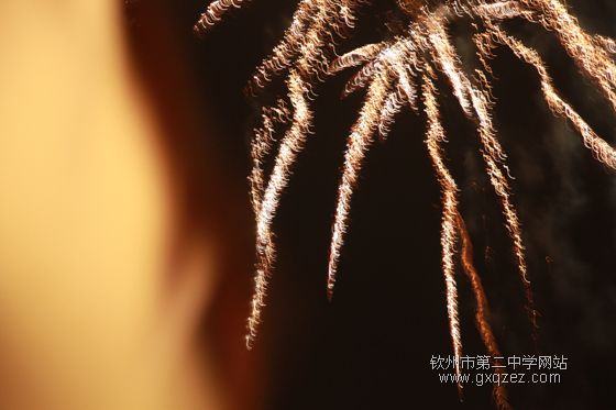 弦歌颂盛世:2010,新年晚会炫耀登场