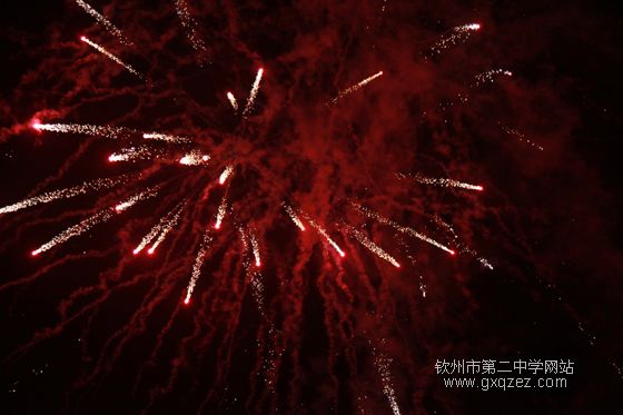 弦歌颂盛世:2010,新年晚会炫耀登场