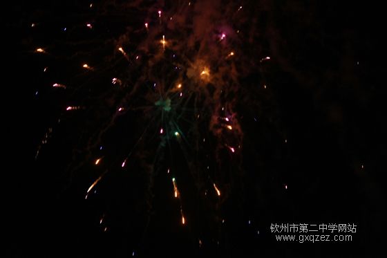 弦歌颂盛世:2010,新年晚会炫耀登场