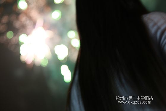 弦歌颂盛世:2010,新年晚会炫耀登场