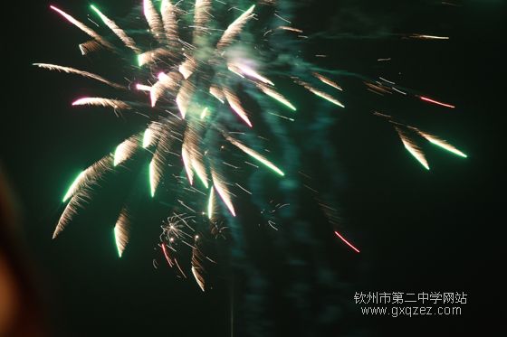 弦歌颂盛世:2010,新年晚会炫耀登场