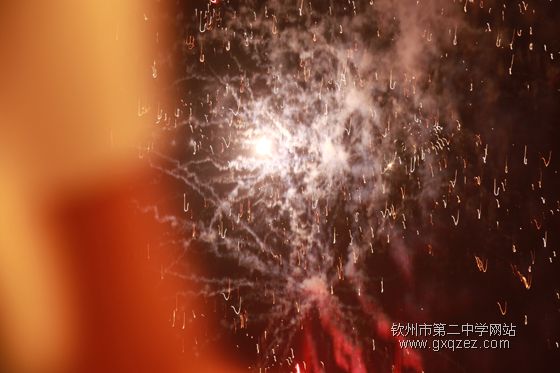 弦歌颂盛世:2010,新年晚会炫耀登场