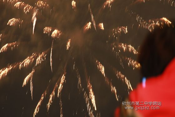 弦歌颂盛世:2010,新年晚会炫耀登场