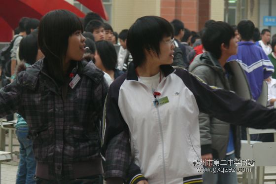 弦歌颂盛世:2010,新年晚会炫耀登场