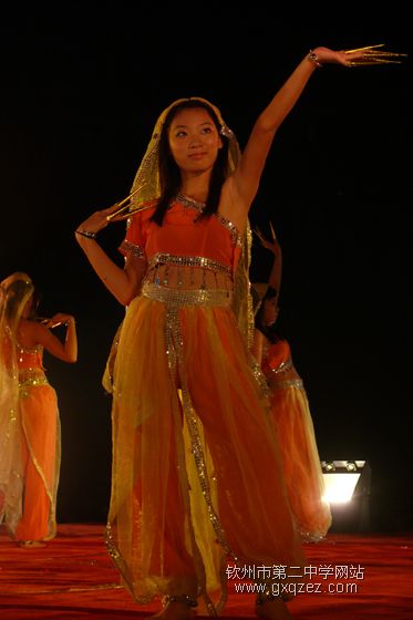 弦歌颂盛世:2010,新年晚会炫耀登场