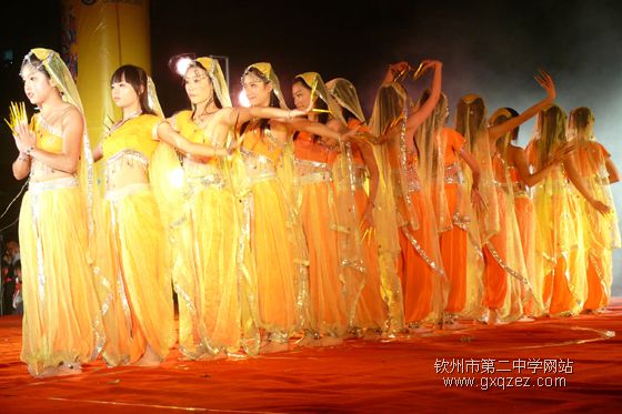 弦歌颂盛世:2010,新年晚会炫耀登场