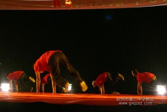 弦歌颂盛世:2010,新年晚会炫耀登场