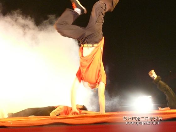 弦歌颂盛世:2010,新年晚会炫耀登场