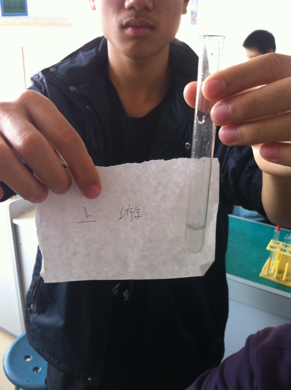 钦州江水质及其生态环境调查