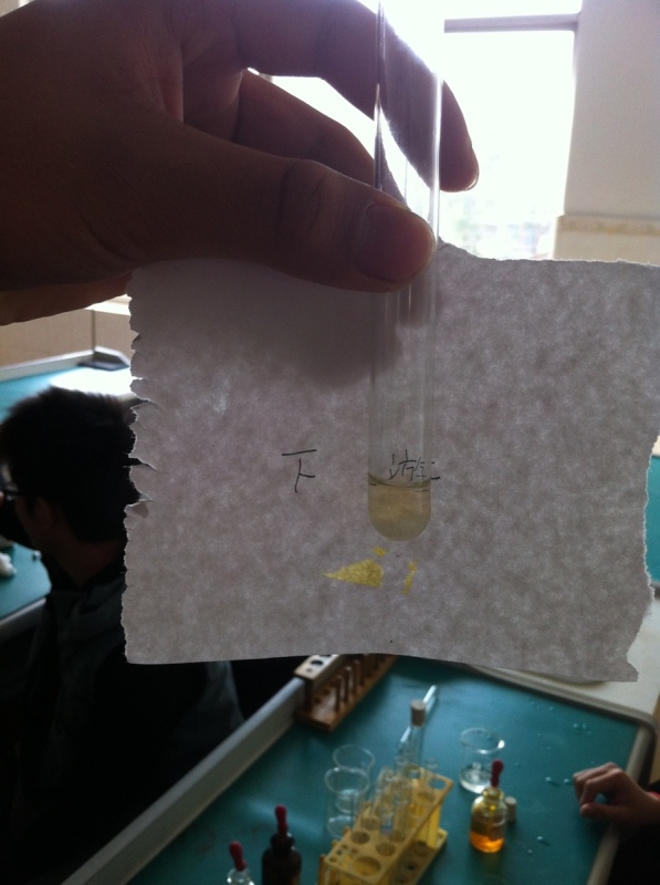 钦州江水质及其生态环境调查