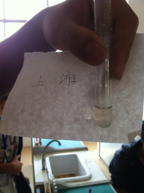 钦州江水质及其生态环境调查