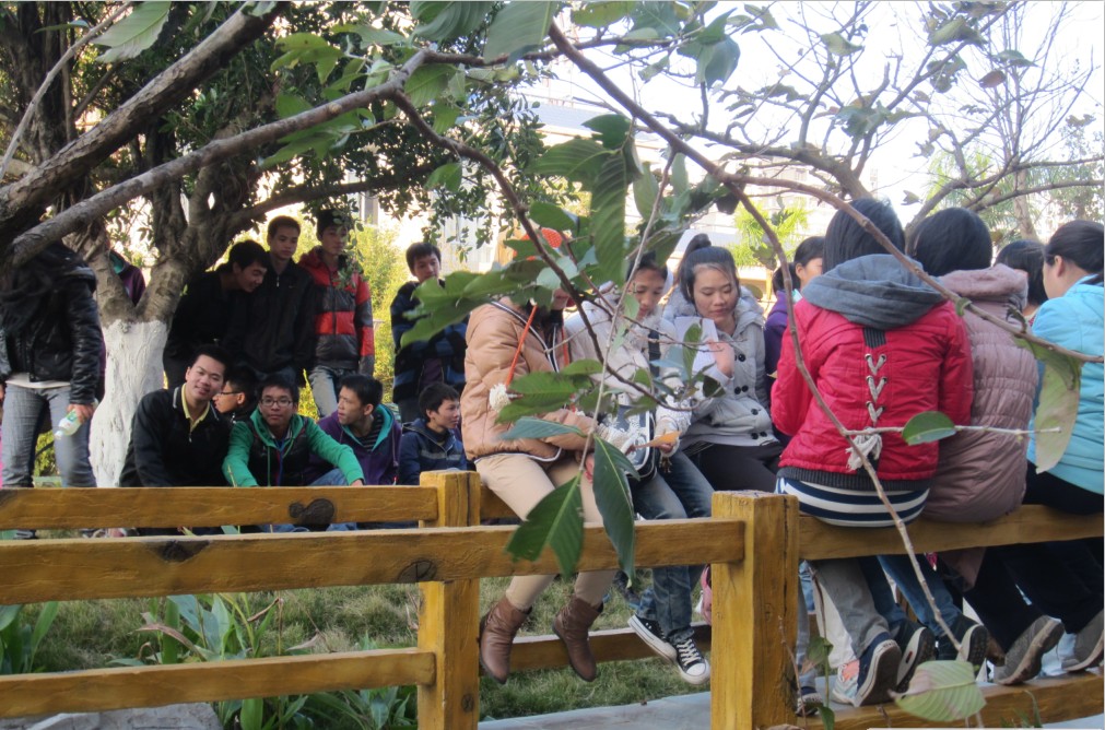 STYLE---ݶѧʦ棨2013Ԫһ19ŷƯƿ