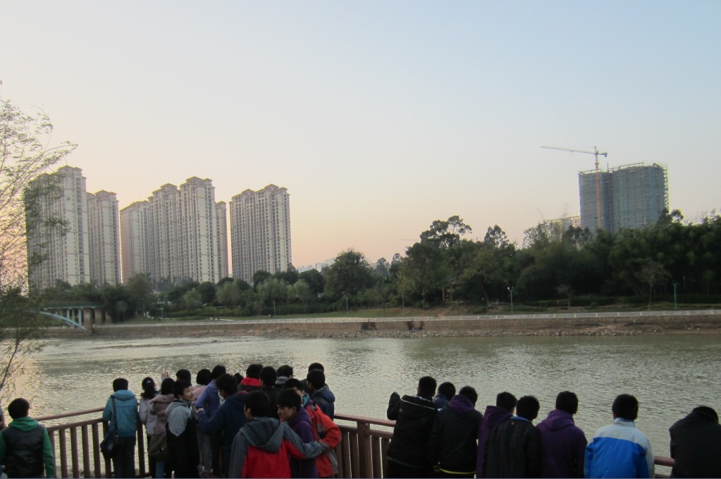 STYLE---ݶѧʦ棨2013Ԫһ19ŷƯƿ