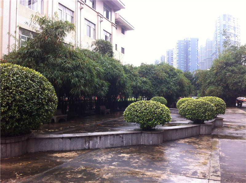 钦州市第二中学竹园拾趣