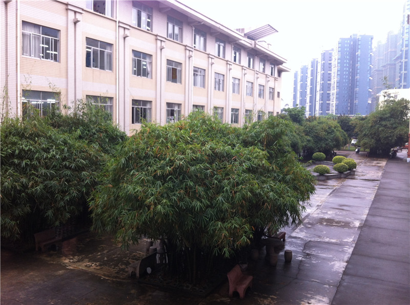 钦州市第二中学竹园拾趣