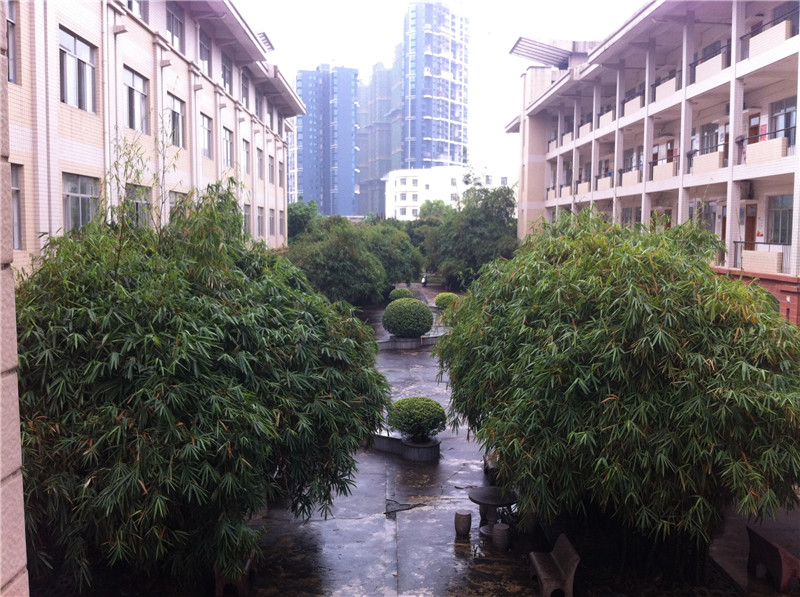 钦州市第二中学竹园拾趣