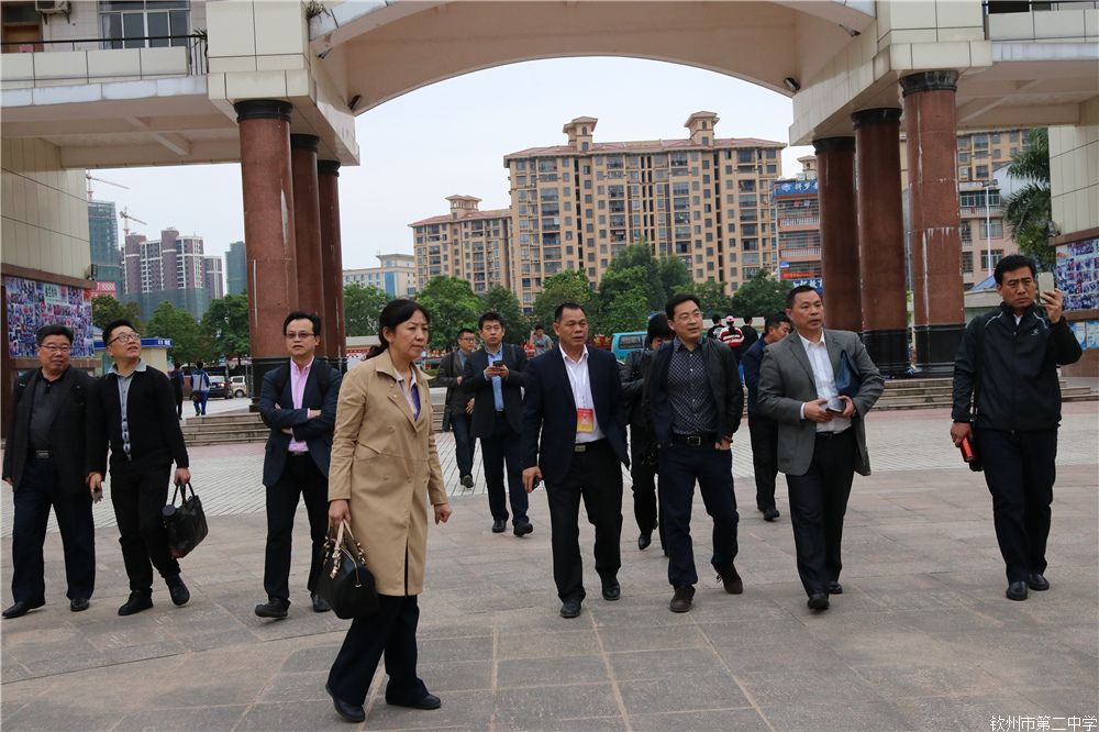 ѧУѵĵ8ȫѧУ߼оУչﻥѧ