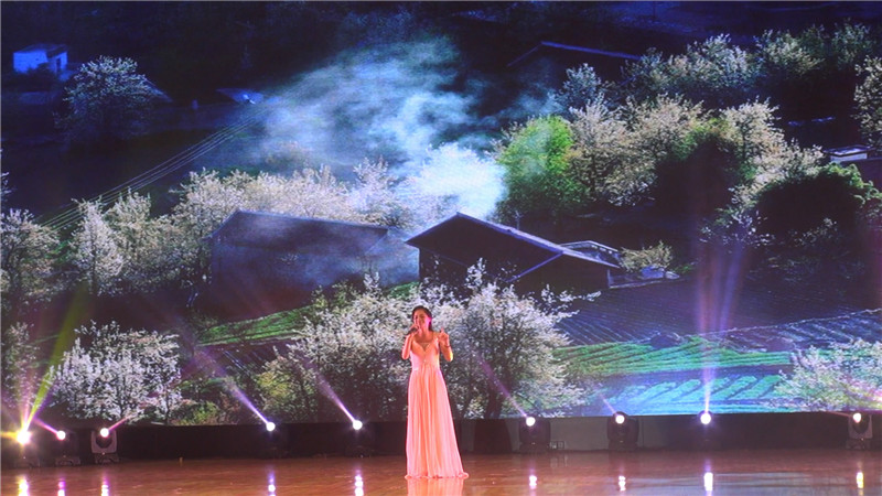 Уΰμ2017ΰࡢԲΰջ¶һȽ