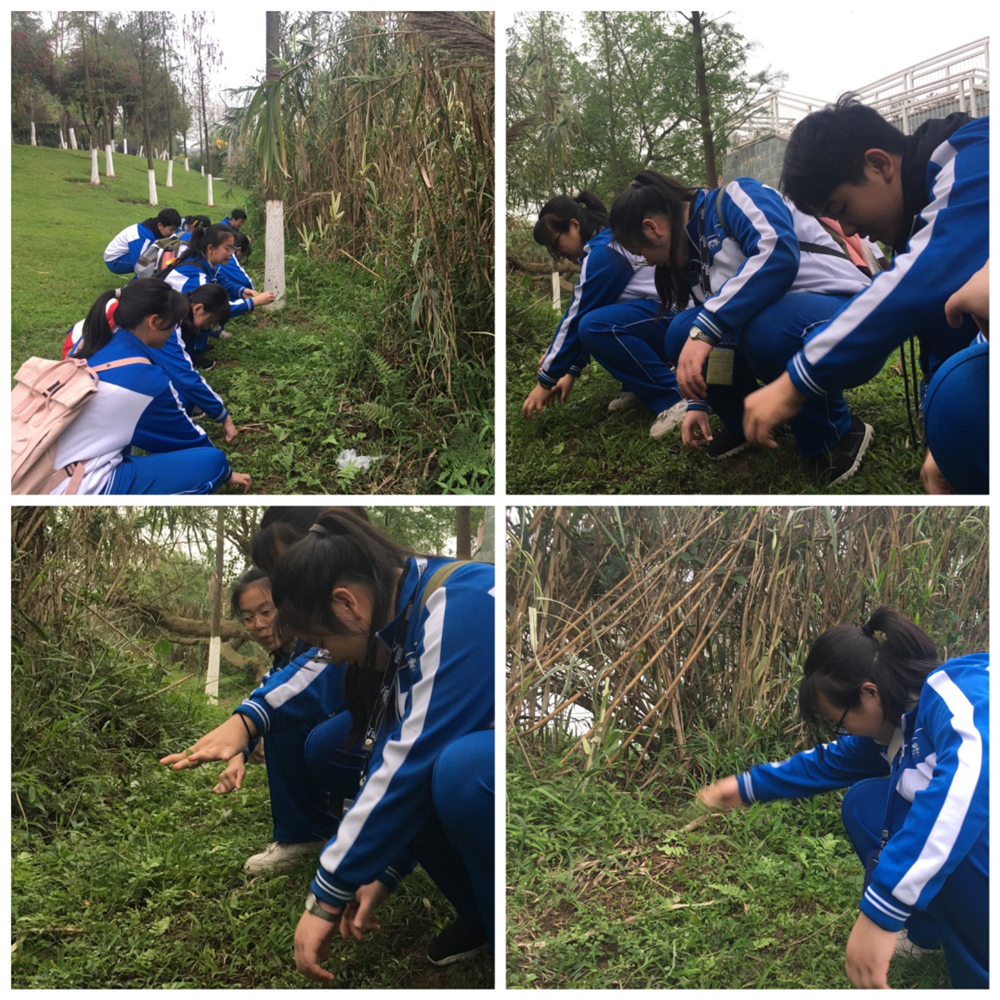 弘扬雷锋精神,投身志愿服务——2019年钦州二中教育集团开展“新青年·学雷锋”系列志愿服务活动纪实