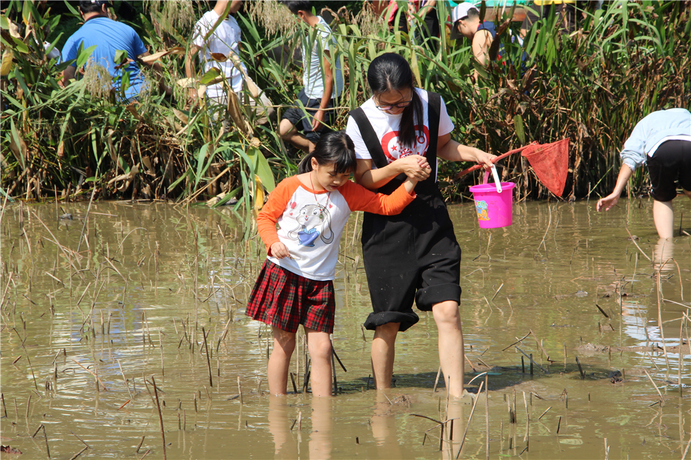 “其乐融融游瑶塘,鳍鳞腹腴知第一”——2019年钦州市第二中学教育集团荷花池开塘节