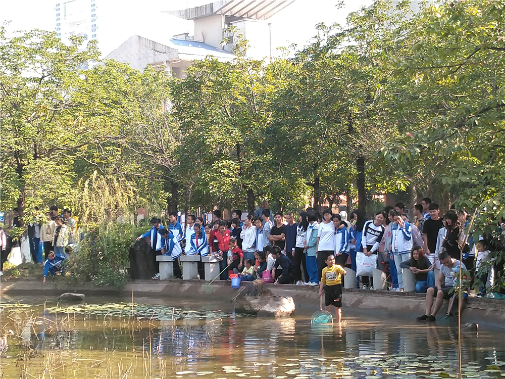 “其乐融融游瑶塘,鳍鳞腹腴知第一”——2019年钦州市第二中学教育集团荷花池开塘节