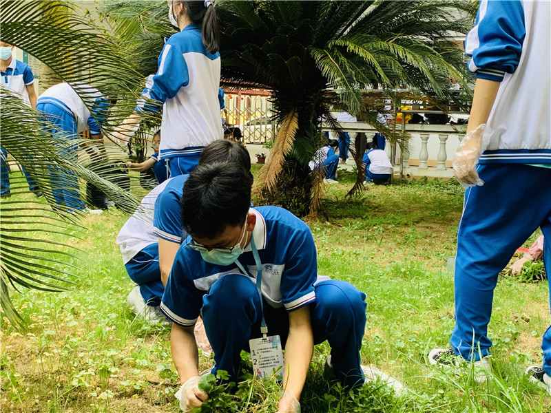 ݶоٰ2021߽조кƻ