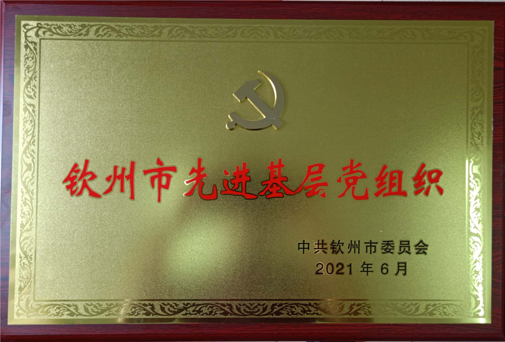 创建“和雅”党建 引领集团化办学 ——热烈祝贺二中党委荣获 “钦州市先进基层党组织“称号