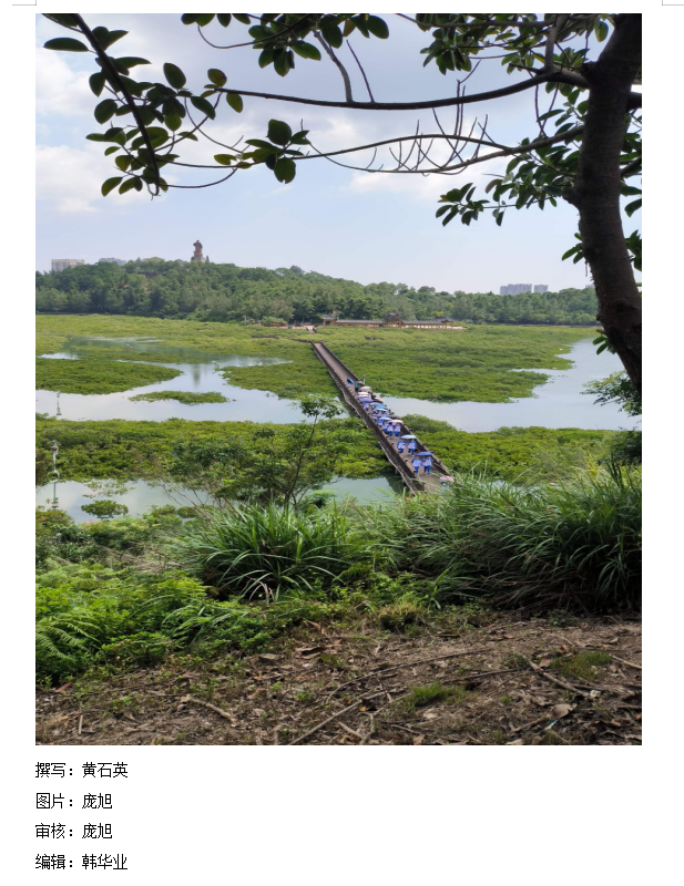 ǻۣȼ  ݶ2023ΰѧ