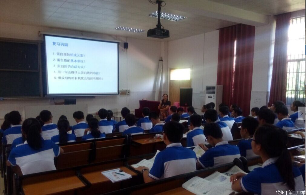 立足课改理念,名师示范引领