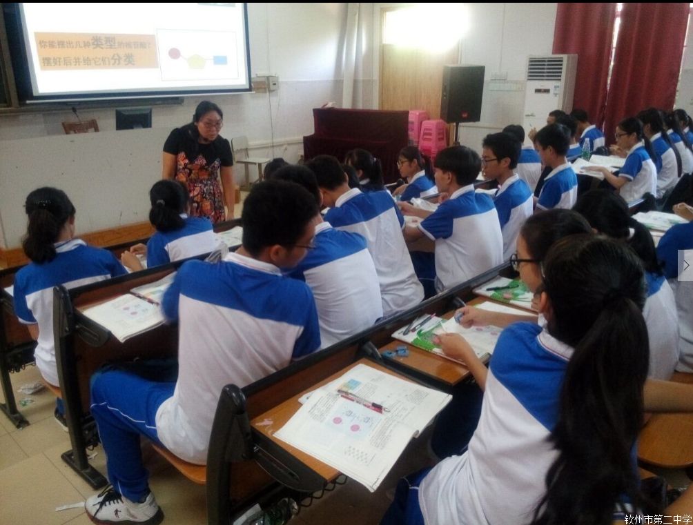 立足课改理念,名师示范引领